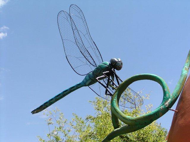 dragonfly001