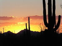 Sunsets, Arizona
